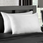 Soft Plush Gel Fiber Filled Allergy Resistant Stomach Sleeper Pillow // Set of 2 (Standard)