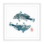Blue Croakers Go Ying Yang (12"H x 12"W x 1.5"D)