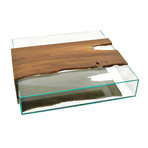 Canela Wood + Glass Box Coffee Table
