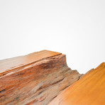 Salvaged Piqui Amarelo Wood Coffee Table