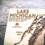 Lake Michigan (6"W x 10"H x 1.5"D)