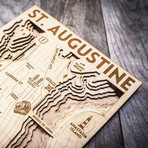 St. Augustine (8"W x 10"H x 1.5"D)
