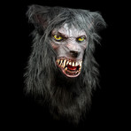 Lycanthrope Mask