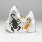 2 Genuine Fighting Scorpions in Lucite