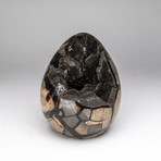 Genuine Polished Septarian Druzy Egg v.1