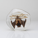 Genuine Medium Hanging Bat + Twigs in Lucite