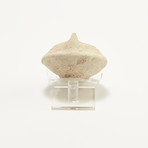 Holy Land Oil Lamp // 5th-7th century AD