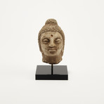 Indus Valley Head of Buddha // 4th - 5th Century AD