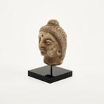 Indus Valley Head of Buddha // 4th - 5th Century AD