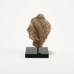 Indus Valley Head of Buddha // 4th - 5th Century AD