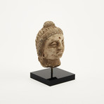 Indus Valley Head of Buddha // 4th - 5th Century AD