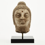 Indus Valley Head of Buddha // 4th - 5th Century AD