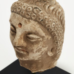 Indus Valley Head of Buddha // 4th - 5th Century AD