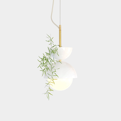 Hemisphere Pendant Planter