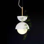 Hemisphere Pendant Planter