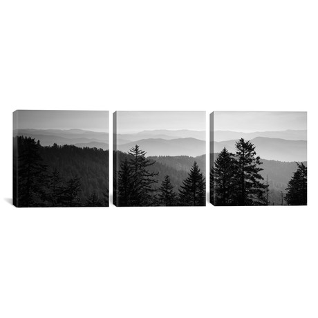 Vast Landscape In B&W, Great Smoky Mountains National Park, North Carolina, USA // Panoramic Images