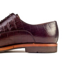 Marc Shoe // Brown (Euro: 41)