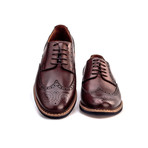 Kurt Shoe // Brown (Euro: 42)