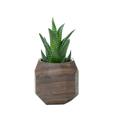 Wooden Geometric Succulent Planter // Dark Brown