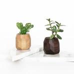 Wooden Geometric Succulent Planter // Light Brown