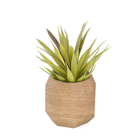 Wooden Geometric Succulent Planter // Light Brown