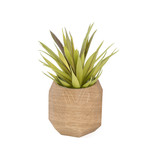 Wooden Geometric Succulent Planter // Light Brown