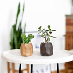 Wooden Geometric Succulent Planter // Dark Brown