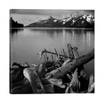 Captionless by Ansel Adams (12"H x  12"W x  1.5"D)