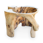 Ficus Wood Dining Table Base