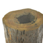 Mussutaiba Tree Trunk Dining Table + Glass Top