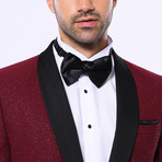 Aidan 2-Piece Suit // Burgundy (Euro: 54)