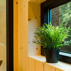 The 146 // White Exterior + White Wash Pine Interior