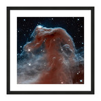 Horsehead