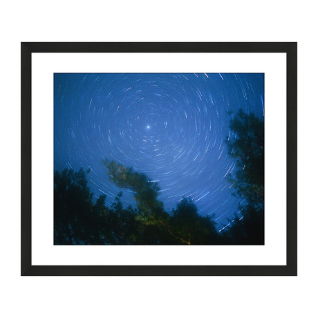 Starry, Starry Night