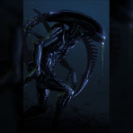 Alien Xenomorph (11"W x 17"H)