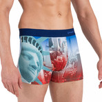 New York City Graphic Boxer Brief // Multicolor (L)