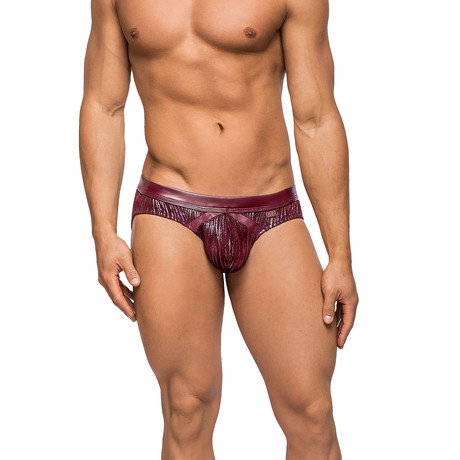 Dazzle Insert Brief // Burgandy (M)