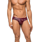 Dazzle Insert Brief // Burgandy (L)