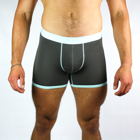 Bamboo Boxers // Gray + Mint Band (Small: 28-31" Waist)