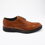 Boston Shoes // Brown (US: 6)