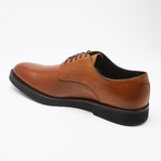 Boston Shoes // Brown (US: 6)