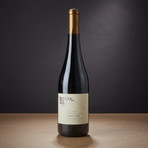Steele Wines Bien Nacido Vineyard Pinot Noir // Set of 3