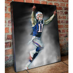 Patriots // Edelman // Canvas (20"W x 16"H x 1.5"D)