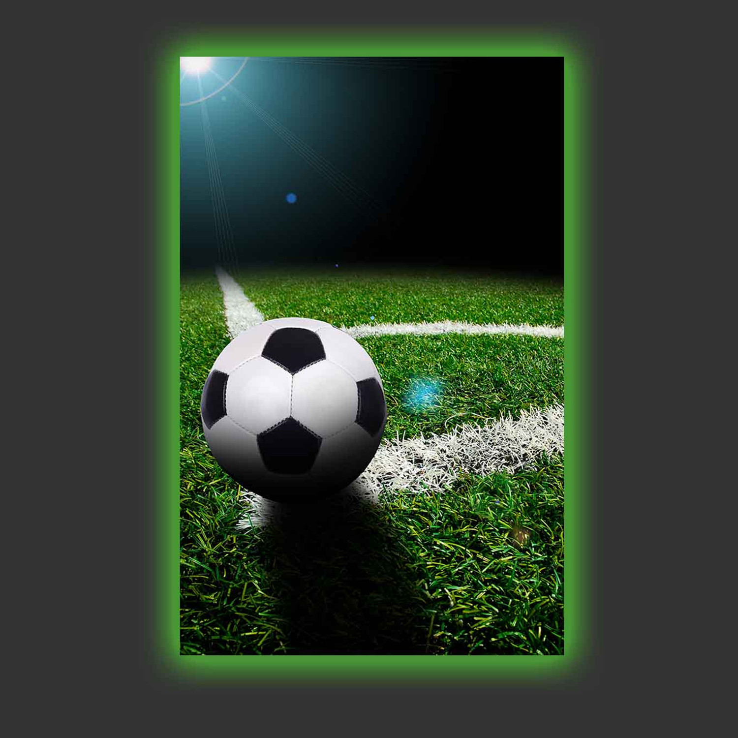 Soccer Field - Home Clearance Store - Touch of Modern