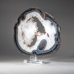 Banded Agate Slice + Acrylic Display Stand
