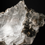 Gypsum Var Selenite Crystal + Quartz Matrix