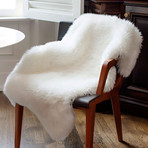 Rug + Chair Cover // Ivory Bear