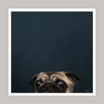 Limited Edition Renaissance Dog Giclee // Bob (Small)