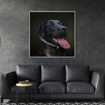 Limited Edition Renaissance Dog Giclee // Ripley (Small)