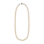 Assael 18k White Gold Pearl Necklace II // Store Display